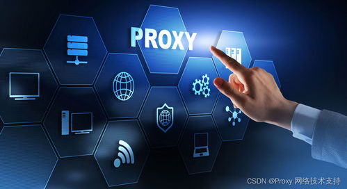 网络抓取与代理自动收集数据 赋能商务代理代办服务的创新引擎