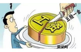 湛江社保代理服务全解析 专业机构助您便捷缴纳