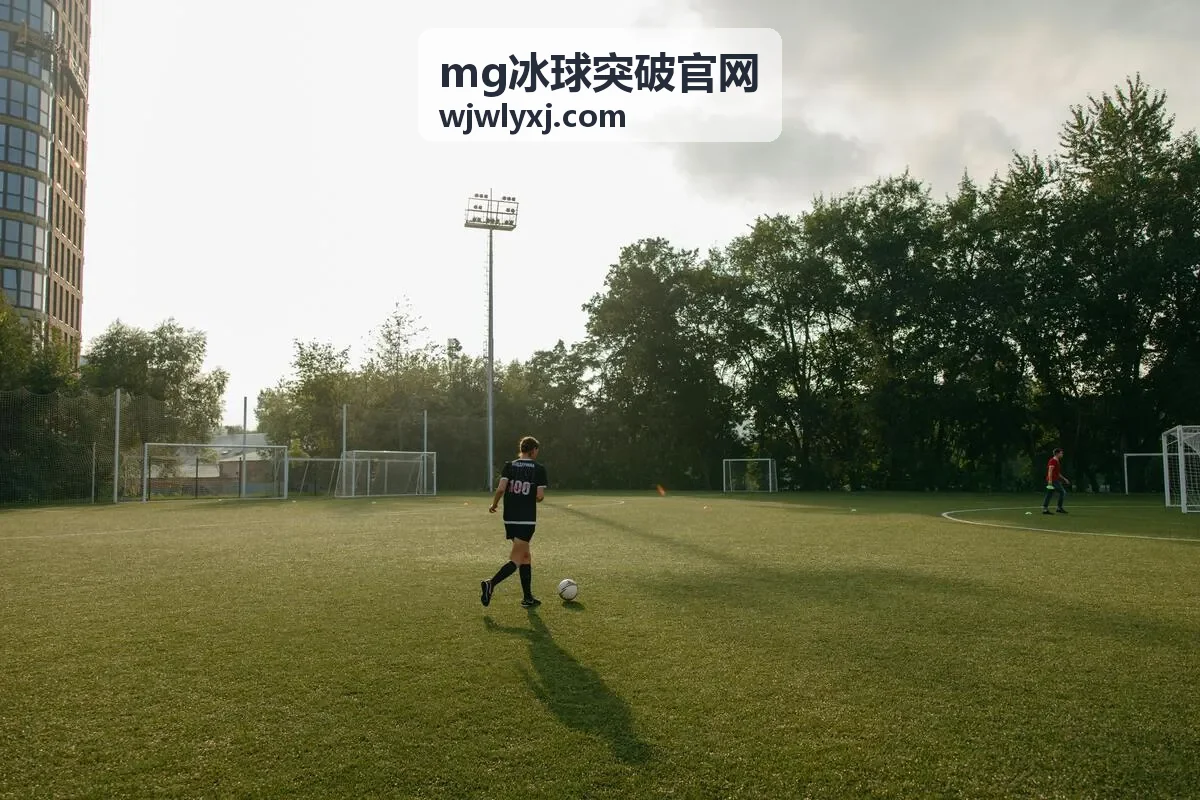 MG冰球突破官网 新手规则